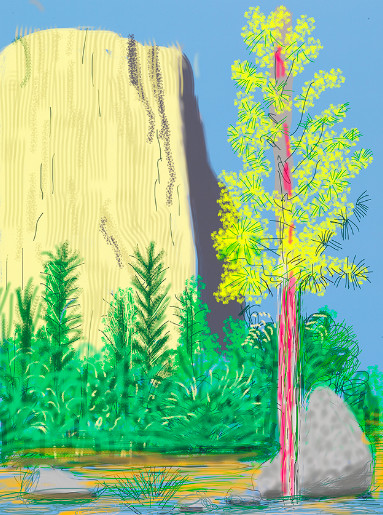 David Hockney - The Yosemite Suite No. 22, 2010
