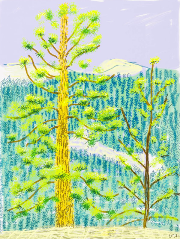 David Hockney - The Yosemite Suite No. 8, 2010