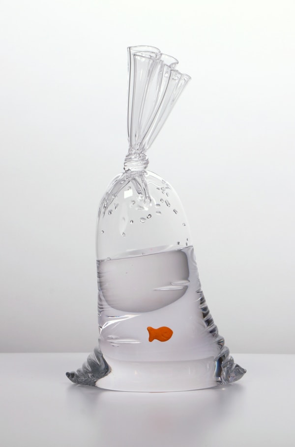 Dylan Martinez - GF 163, 2023