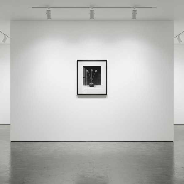 Robert Mapplethorpe - Flower, 1983