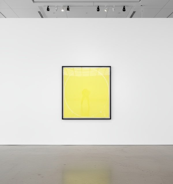 Ian Davenport - Yellow, Lemon Yellow, Yellow, 2002