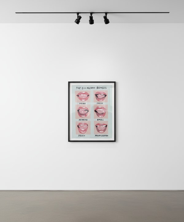 The Six Human Senses