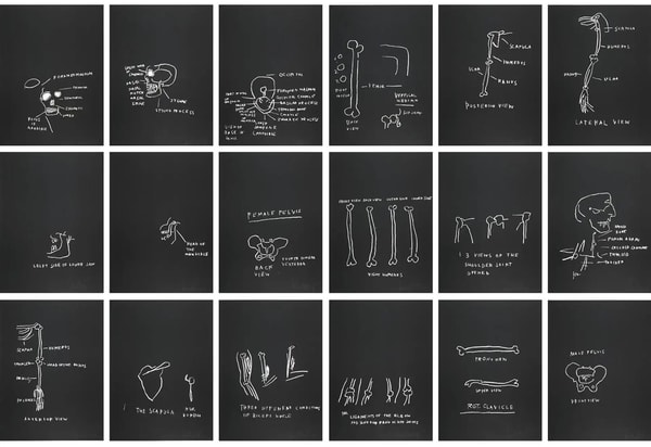 Jean-Michel Basquiat - Anatomy, 1982