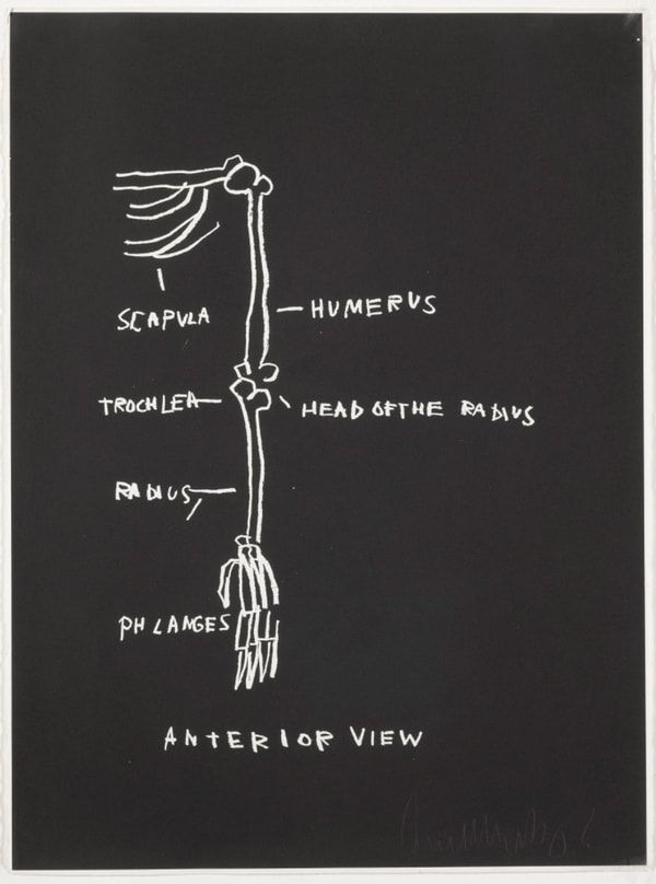 Jean-Michel Basquiat - Anterior View, from Anatomy, 1982