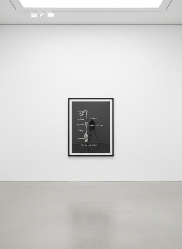 Anterior View, from Anatomy