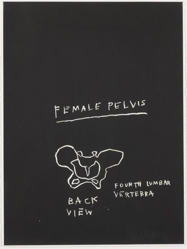 Jean-Michel Basquiat - Female Pelvis, Back View, from Anatomy, 1982