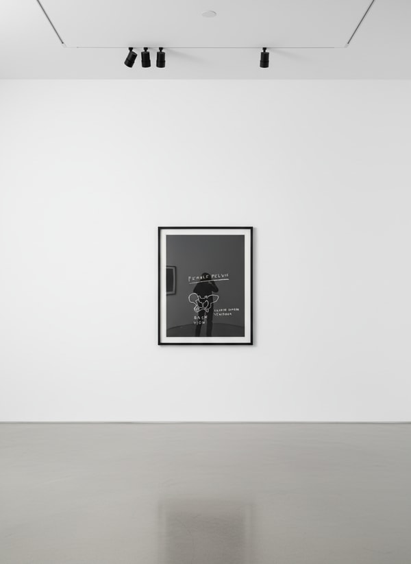 Female Pelvis, Back View, from Anatomy