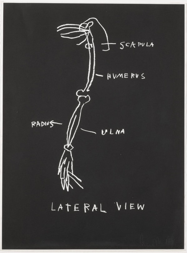 Jean-Michel Basquiat - Lateral View, from Anatomy, 1982
