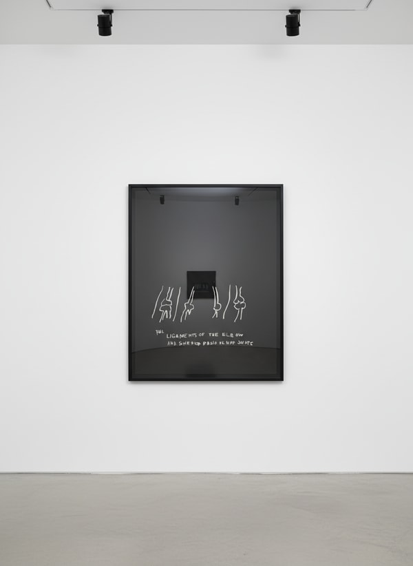 Jean-Michel Basquiat - Ligaments Of The Elbow, from Anatomy, 1982