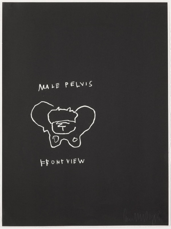 Jean-Michel Basquiat - Male Pelvis, Front View, from Anatomy, 1982