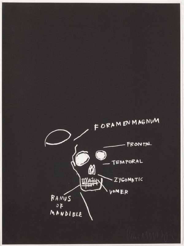 Jean-Michel Basquiat - Ramus of Mandible, from Anatomy, 1982