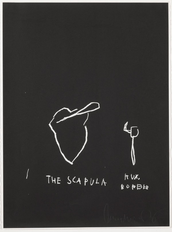 Jean-Michel Basquiat - The Scapula, from Anatomy, 1982
