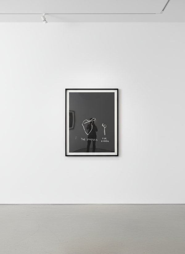 The Scapula, from Anatomy