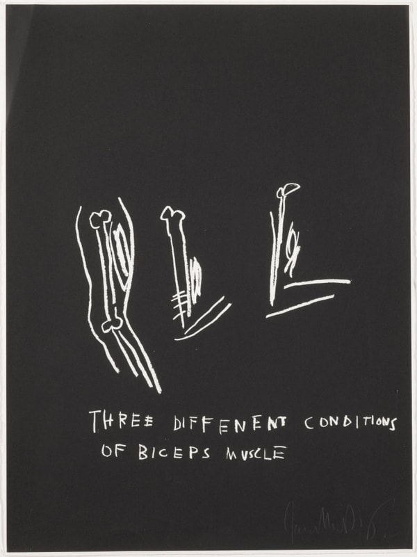 Jean-Michel Basquiat - Three Different Conditions of Biceps Muscle, from Anatomy, 1982