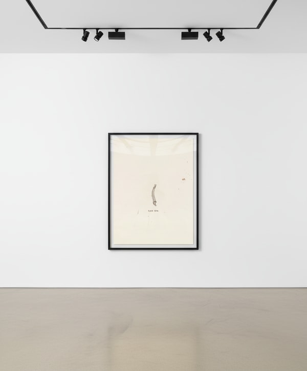 Jean-Michel Basquiat - Untitled 1 (from Leonardo), 1983