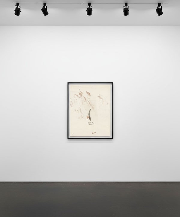 Untitled 4 (from Leonardo)