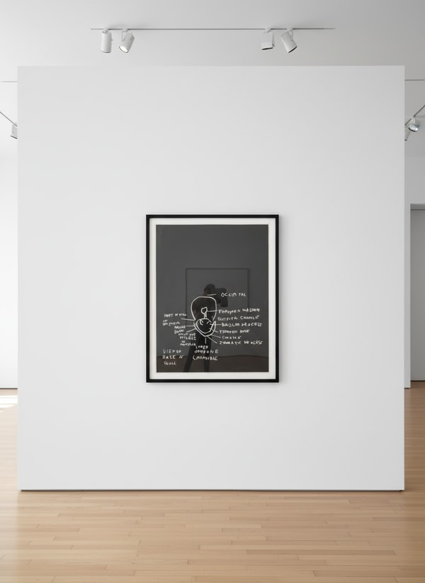 View of Base of Skull, from Anatomy