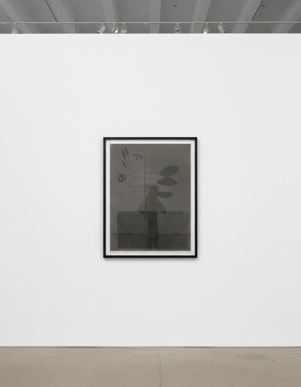 Jonas Wood - Black Plant, 2010