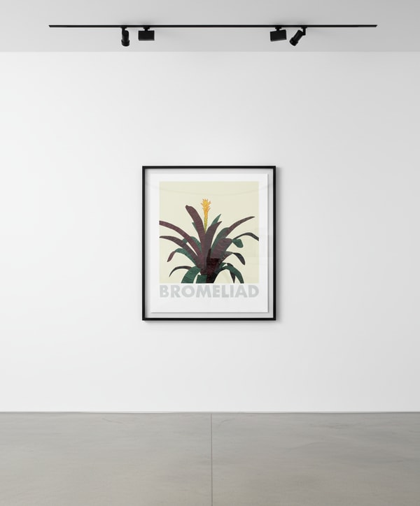 Jonas Wood - Bromeliad, 2020