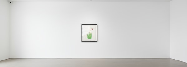 Jonas Wood - Three Landscape Pots : Night Bloom, Orchid, Bromeliad, 2019, Set of 3 etchings with collage and photolithogra...