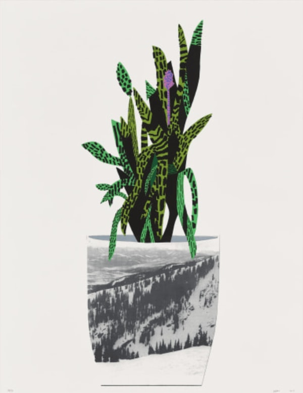 Jonas Wood - Untitled (green), 2014