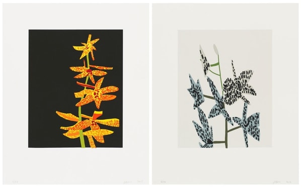 Jonas Wood - Untitled (Orchid Diptych), 2015