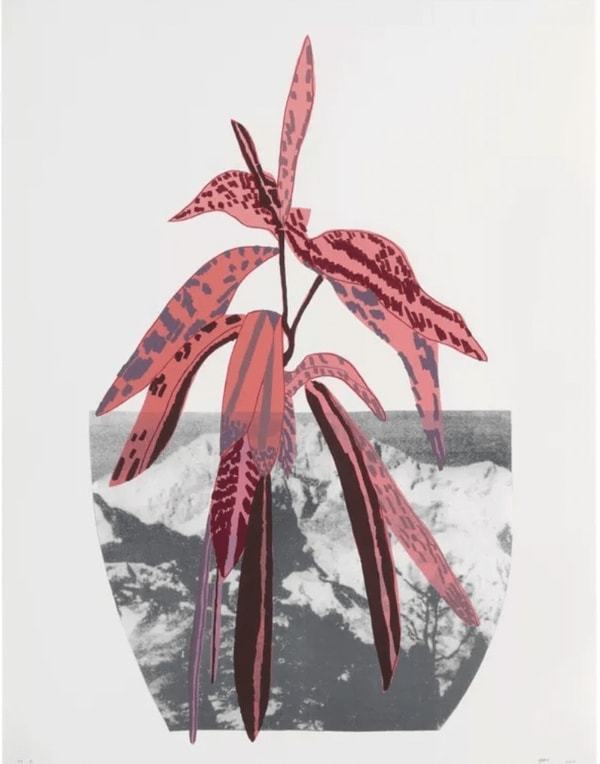 Jonas Wood - Untitled (pink), 2014