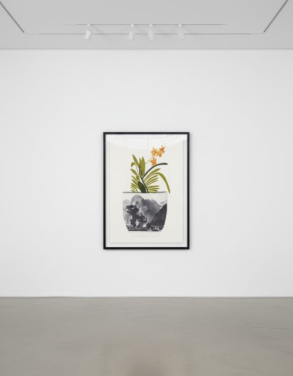 Untitled (Yellow Orchid Pot)