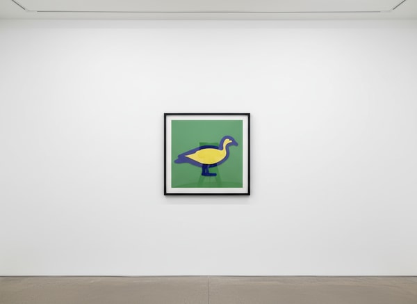 Julian Opie - Small Birds Australian Wood Duck, 2020