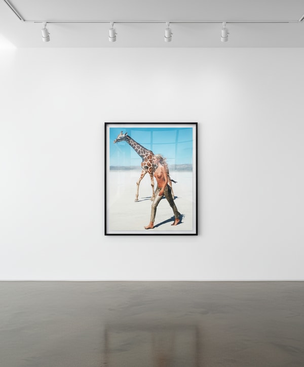 Beauty and the Beast (Giraffe Color)