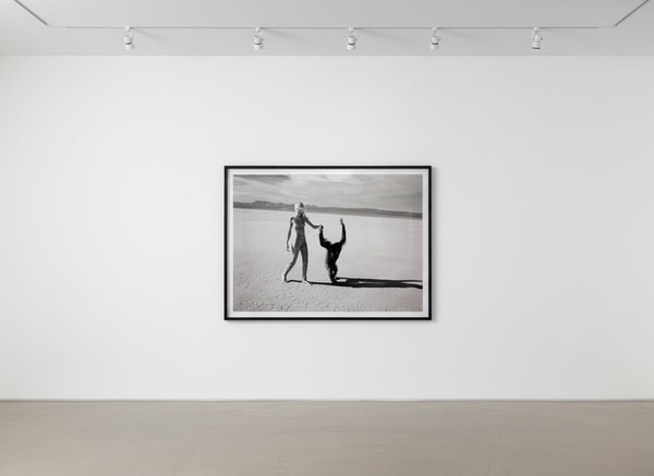 Beauty and the Beast (Monkey IV)