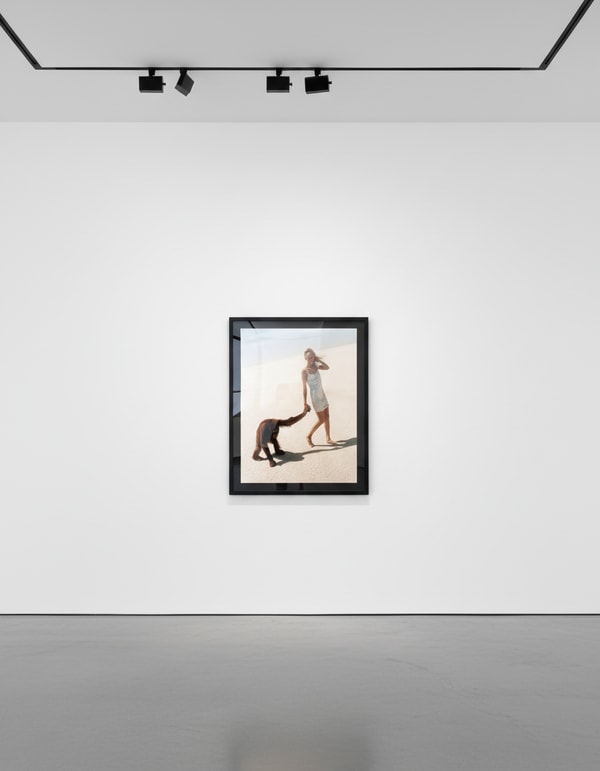 Beauty and the Beast (Orangutan III)