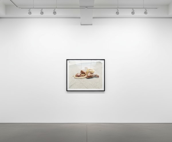 Beauty and the Beast (Snake)