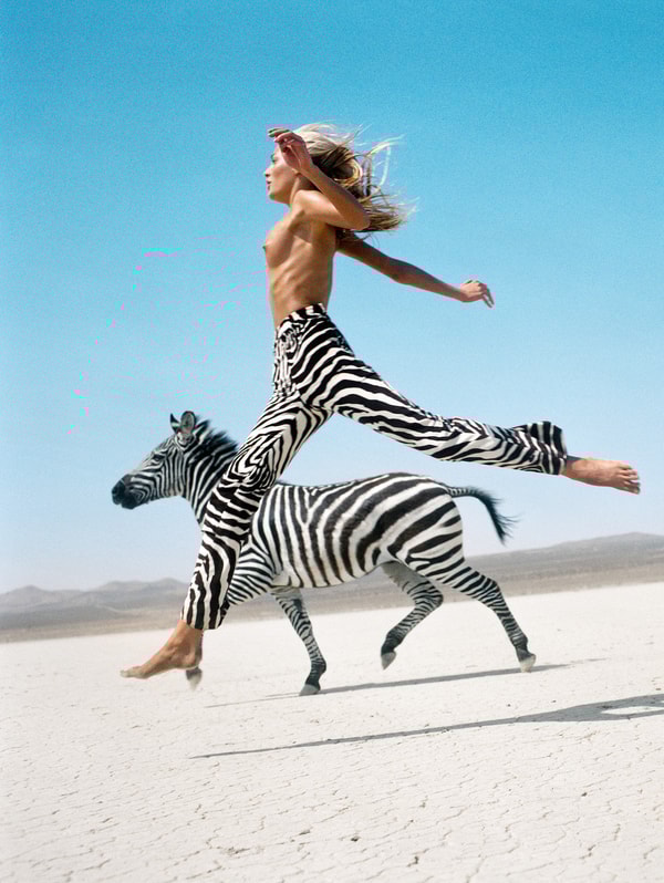 Michel Comte - Beauty and the Beast (Zebra II), 1996, Oversized chromogenic print