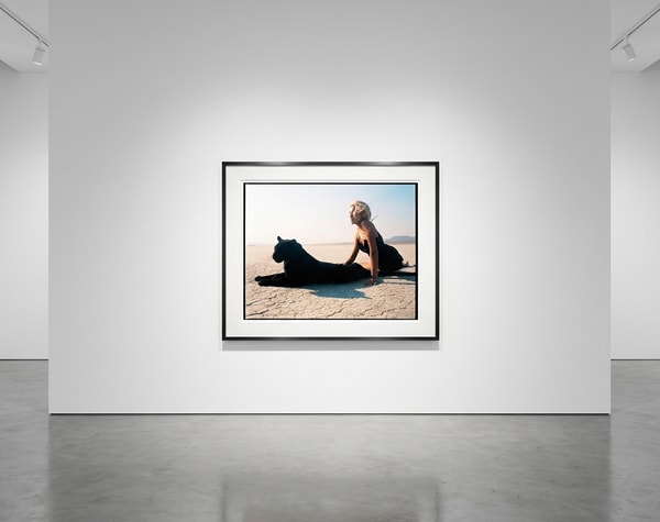 Michel Comte - Beauty and the Beast, 1996, Archival pigment print