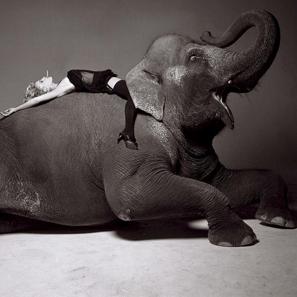 Michel Comte - Daryl Hannah, 1996