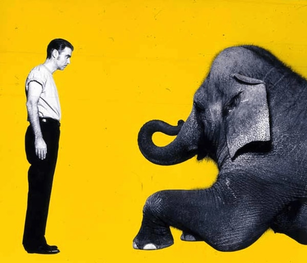 Michel Comte - David Bryne, GQ (yellow), 1991