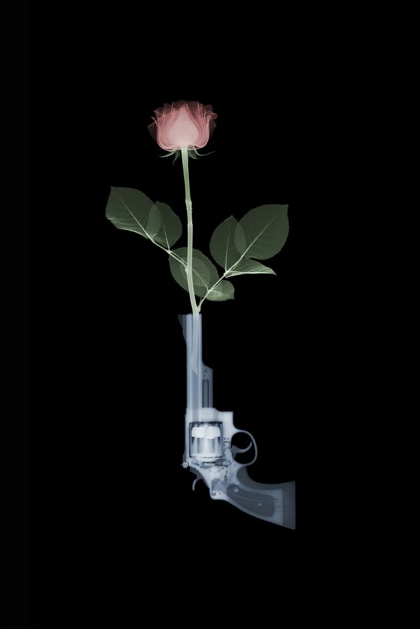 Nick Veasey - Magnum and Rose, 2019