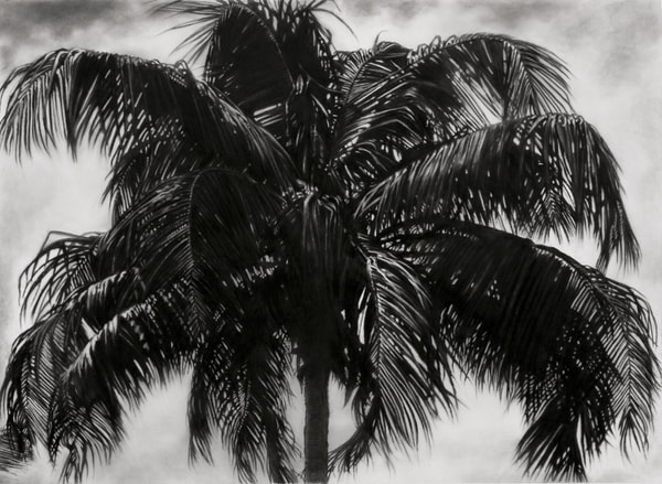 Robert Longo - Study Of P.R. Palm, 2019