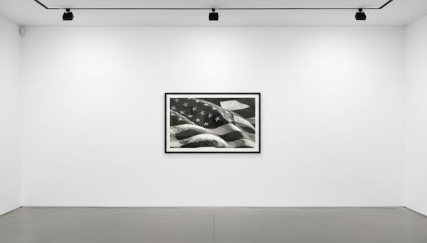 Robert Longo - Untitled (Flag), 2013, Pigment Print