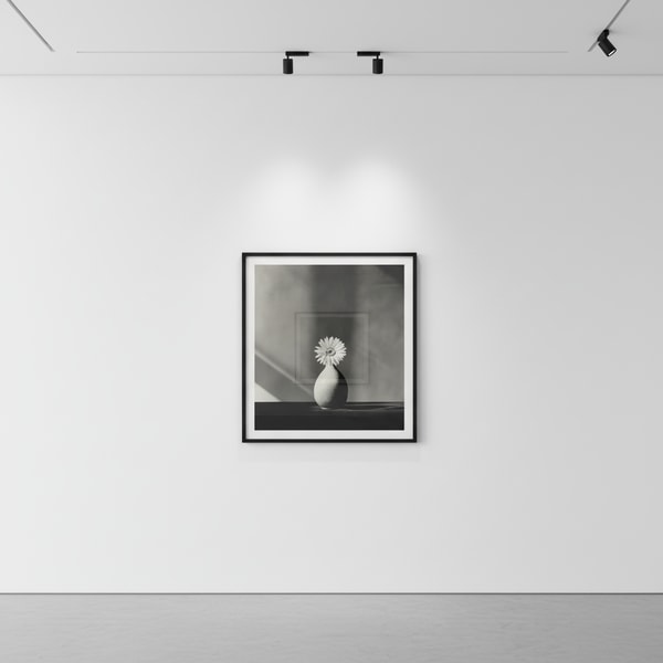 Robert Mapplethorpe - African Daisy, 1982