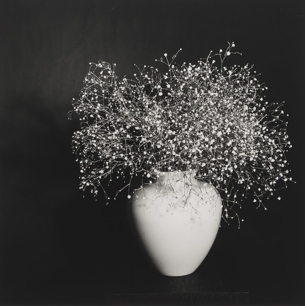 Robert Mapplethorpe - Baby's Breath, 1978