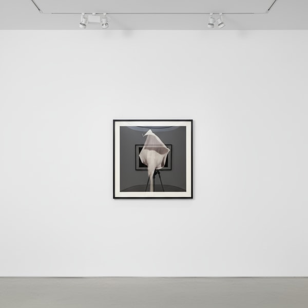 Robert Mapplethorpe - Calla Lily, 1987