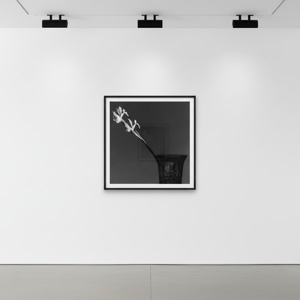 Robert Mapplethorpe - Iris, 1982