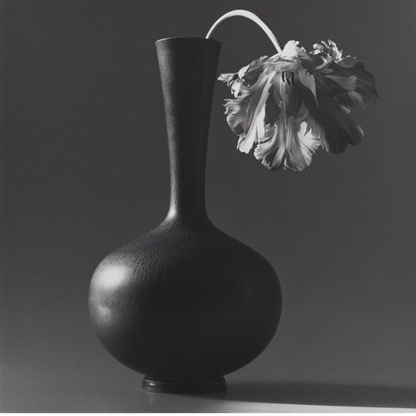 Robert Mapplethorpe - Parrot Tulip in Black Vase, 1985