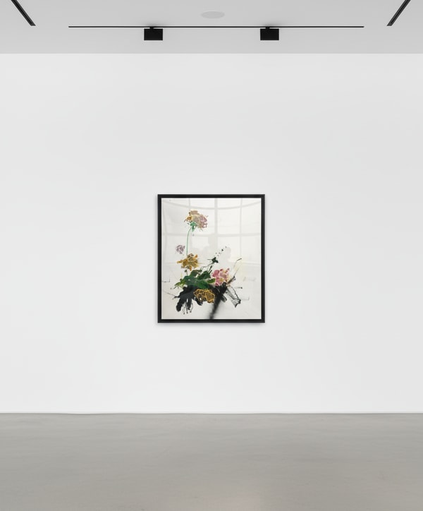 Sage Barnes - (Bloom) Study I, 2024