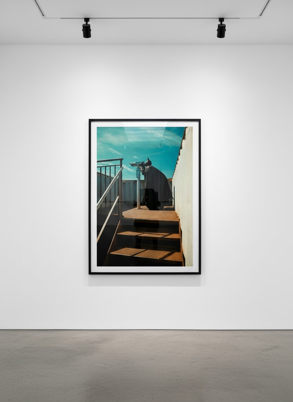 Sebastian Magnani - Daily Bat – Sightseeing, 2020