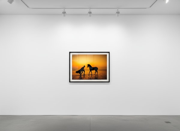 Daily Bat - Wild Spirits