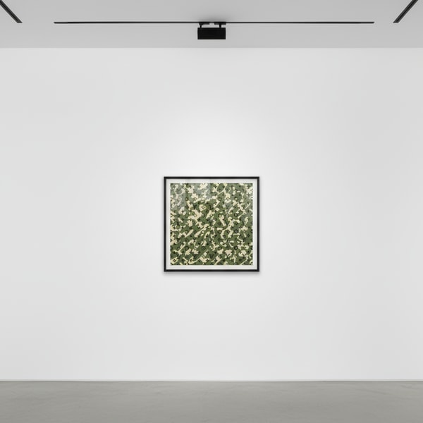 Takashi Murakami - LV Monogramouflage, 2008