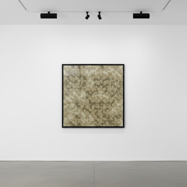 Monogramouflage (denim)